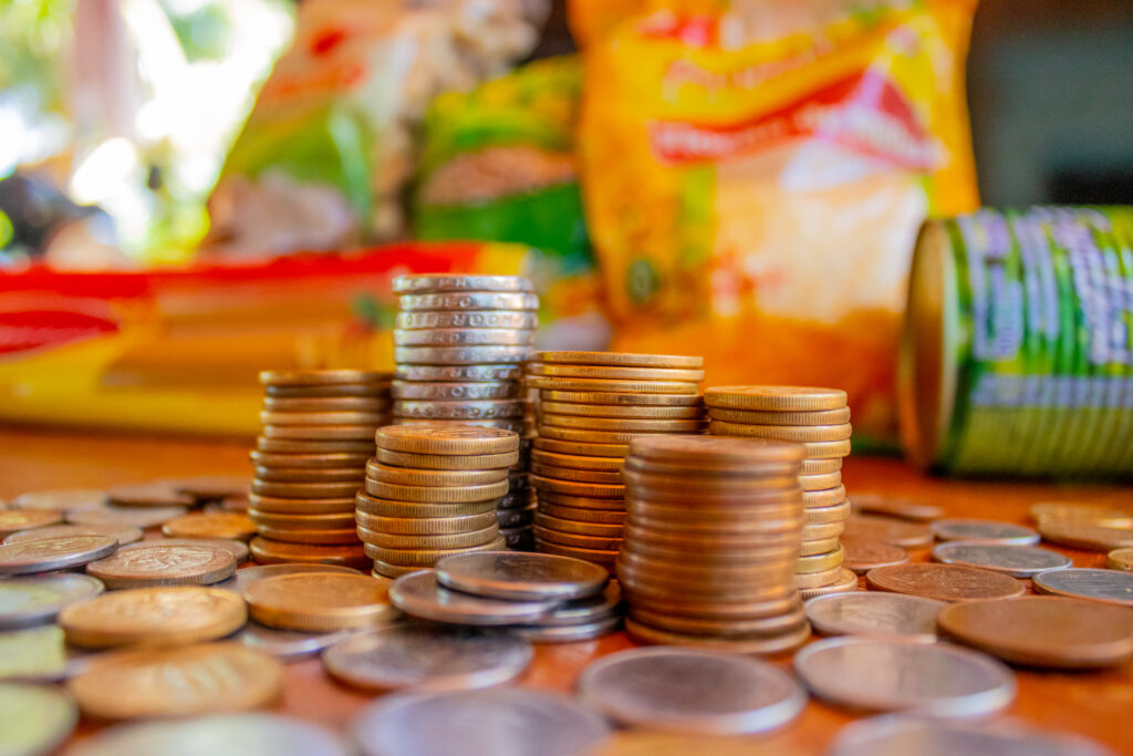 Para que serve o auxílio cesta básica e quem pode ter direito a esse tipo de benefício? Descubra os detalhes a respeito desse assunto no Brasil.