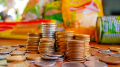 Para que serve o auxílio cesta básica e quem pode ter direito a esse tipo de benefício? Descubra os detalhes a respeito desse assunto no Brasil.