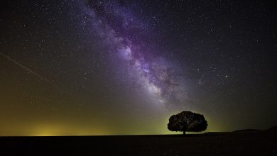 O banho de estrelas está cada dia mais popular e muito comentado nas redes sociais; mas que é essa prática de verdade?