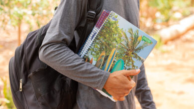 Ter um diploma na área certo pode garantir um futuro profissional brilhante; veja quais são as opções que mais valem a pena nesse momento.