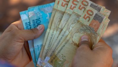 Uma empresa grande começou pequena um dia, mas muitos não reparam nos detalhes da trajetória; entenda como é o caminho do sucesso.