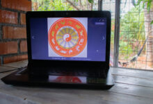 Ninguém esperava que uma planta tão "simpática" e "fofinha" poderia ter uma carga energética tão ruim assim; entenda.