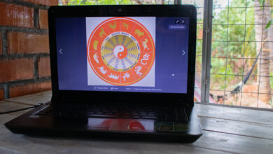 Ninguém esperava que uma planta tão "simpática" e "fofinha" poderia ter uma carga energética tão ruim assim; entenda.