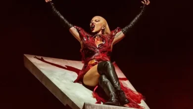 Lady Gaga, a diva do pop mundial, já está no Brasil. No entanto, houve um detalhe que chamou a atenção de muitas pessoas e você não viu.