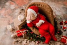 Assustador para alguns, estranho para outros e fascinante para muitos, o universo dos bebês reborn recebe novidades a cada dia.