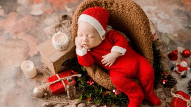 Assustador para alguns, estranho para outros e fascinante para muitos, o universo dos bebês reborn recebe novidades a cada dia.