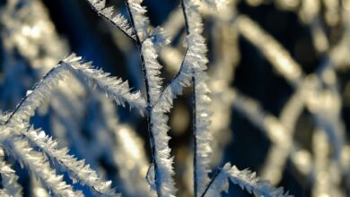 Temperatura deve cair em breve e marcar o que muitos esperam a respeito da estação do outono brasileiro; entenda agora.