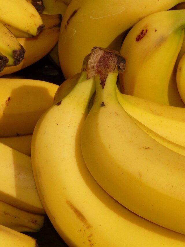 Nunca Mais Jogue Bananas Fora!