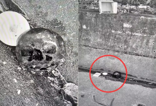 Você pegaria uma carta deixada ao lado de um crânio em via pública? A cena é real, embora a história pareça coisa de cinema.