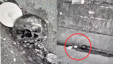 Você pegaria uma carta deixada ao lado de um crânio em via pública? A cena é real, embora a história pareça coisa de cinema.